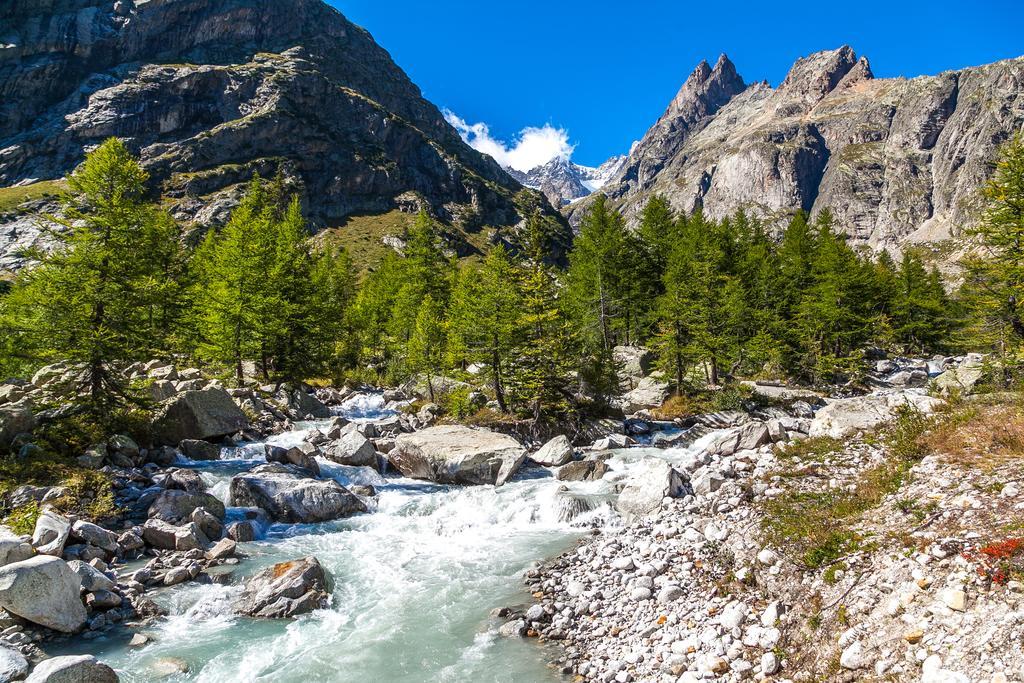 Hotel Lo Scoiattolo Courmayeur Esterno foto